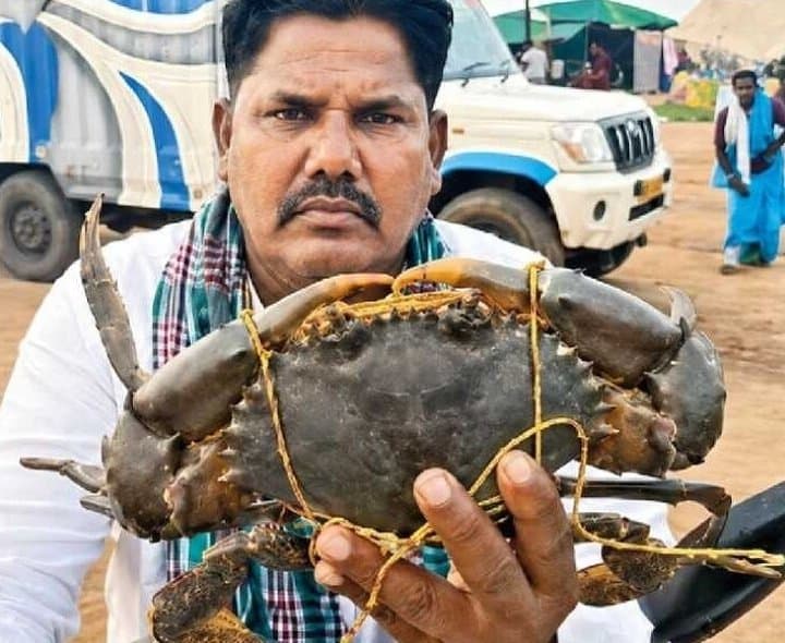 ఉప్పాడలో మత్స్యకారులకు భారీ మండపీత