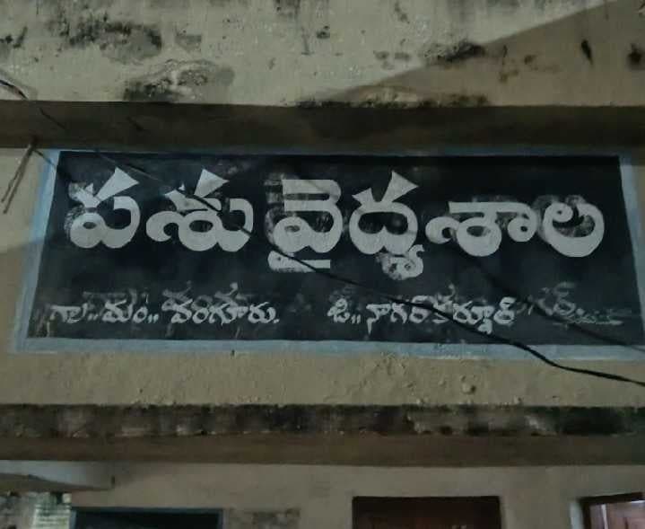 గాజరలో ఉచిత పశు వైద్య శిబిరం - Udayam