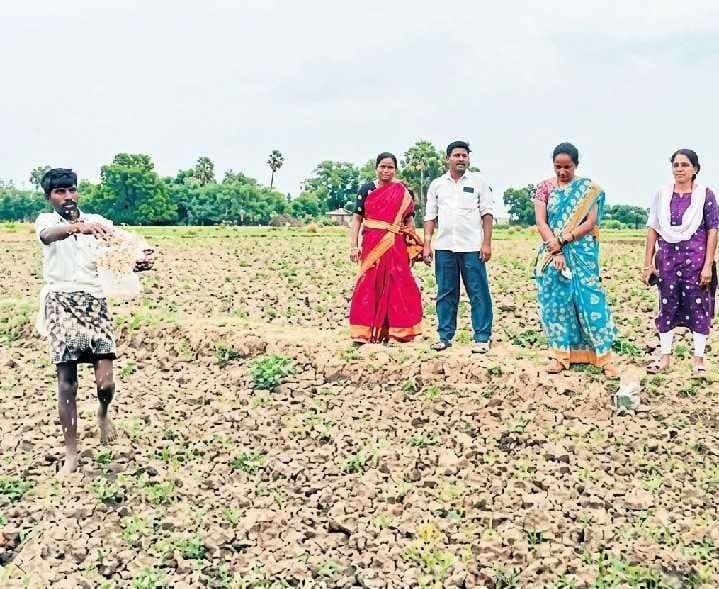 బీడు భూములకు బయో విత్తనాలు - Udayam