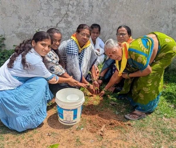 ధర్పల్లిలో మొక్కలు నాటారు
