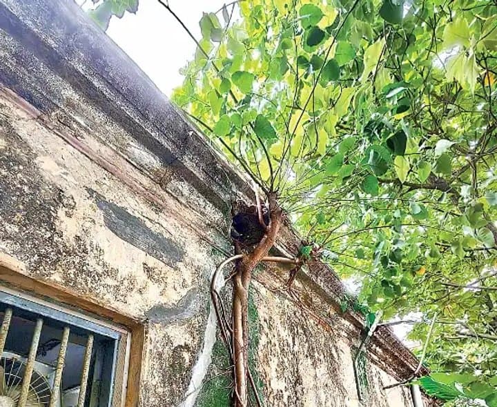 శిథిల భవనంలోనే కొనసాగుతున్న రెవెన్యూ సేవలు