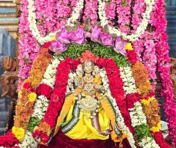 నెల్లూరులో ఘనంగా శ్రీ దక్షిణామూర్తి స్వామి ప్రాకారోత్సవం