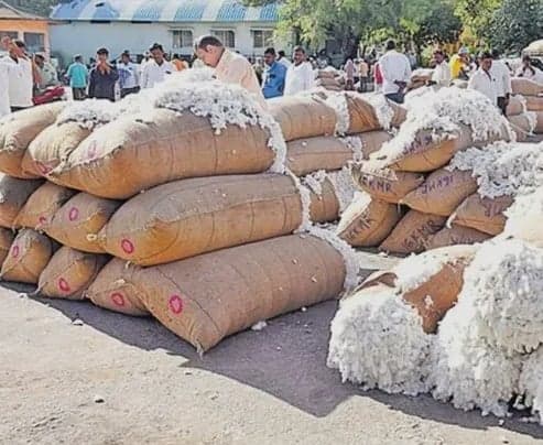రాష్ట్రంలో పత్తి కొనుగోళ్లు షురూ