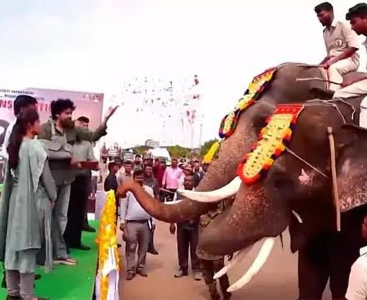 ఏనుగుల సమస్యకు చెక్ పెట్టిన పవన్