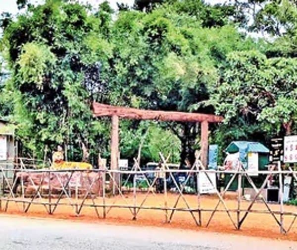 మన్ననూరులో సఫారీ సేవలకు మూడు నెలల విరామం
