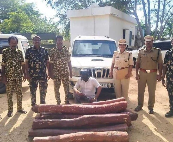 రాత్రి గస్తీలో 409 కిలోల ఎర్రచందనం స్వాధీనం