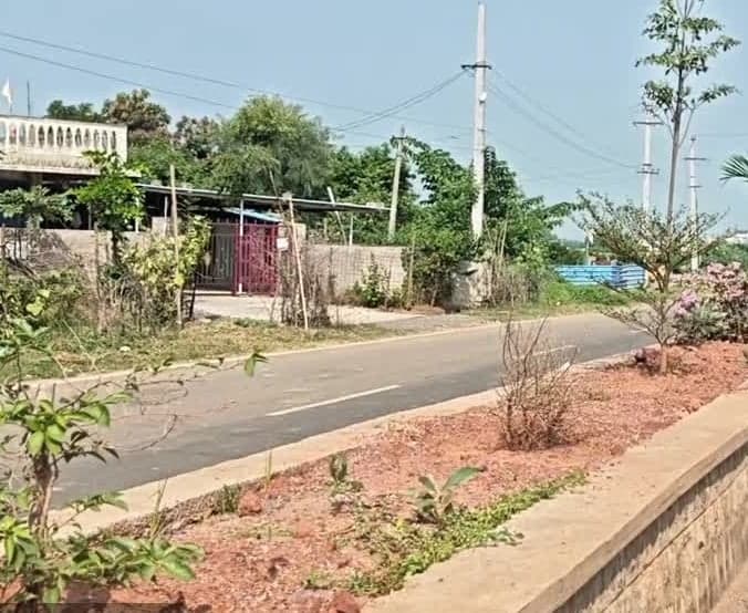 బండారుపల్లి వరకు సెంట్రల్ లైటింగ్‌ - Udayam