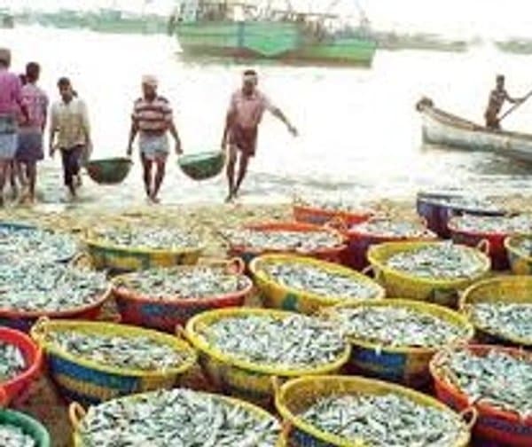 మత్స్యకారులకు మహారాష్ట్ర సర్కారు షాక్