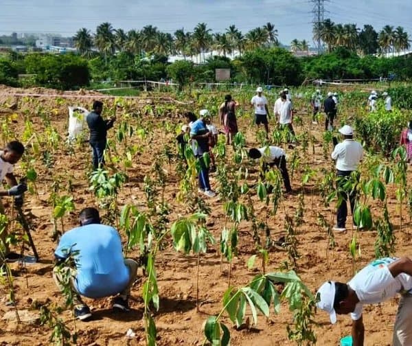 మొక్కలు నాటి సంరక్షించాలి
