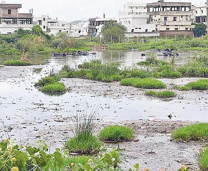 ఖాళీ స్థలాల్లో మురుగు కుంటలు.. దోమల బెడద - Udayam Digital