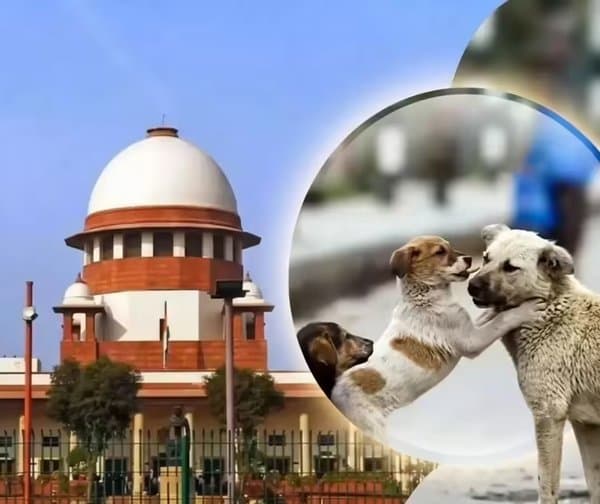 వీధి కుక్కలపై కేంద్రం కీలక ఆదేశం