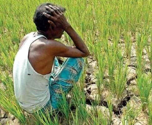 తెలంగాణలో పంట నష్టం రూ.20 వేల కోట్లు?