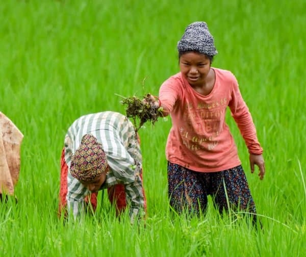 మహిళా రైతు సాధికారత బిల్లు పాస్.