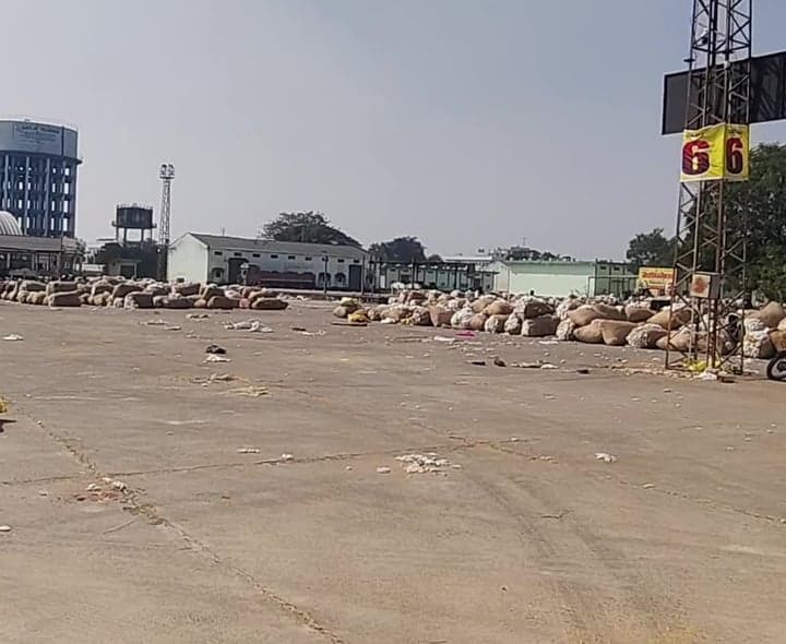 పెద్దపల్లి మార్కెట్‌లో పత్తి ధరలు ఇలా! - Udayam