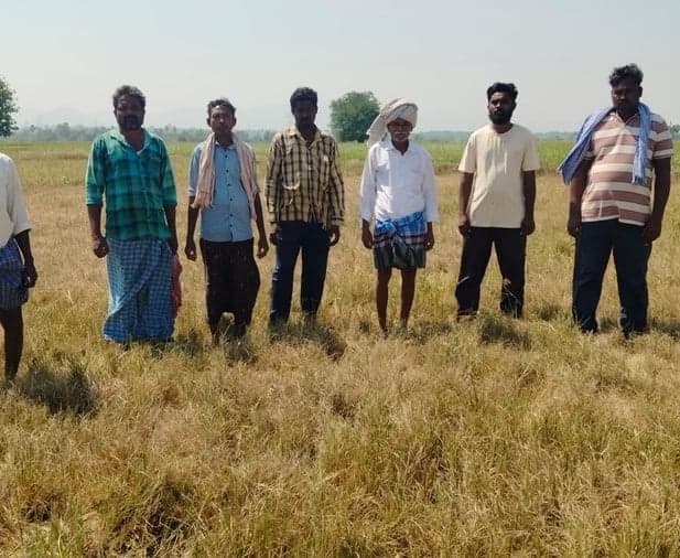 నీటి విడుదల కోసం ఎండిన పొలాల్లో రైతుల నిరసన