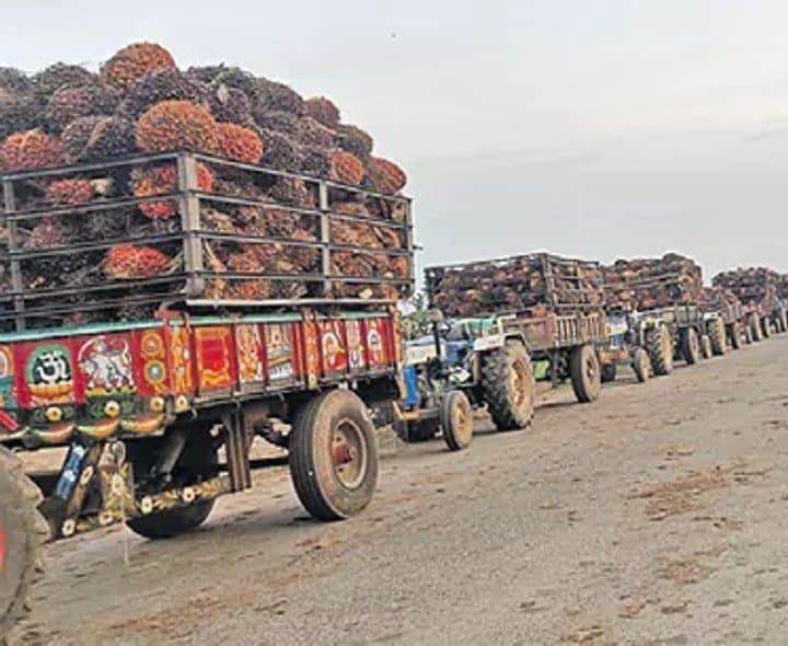 గెలలొచ్చే.. కర్మాగారాలు కళకళ