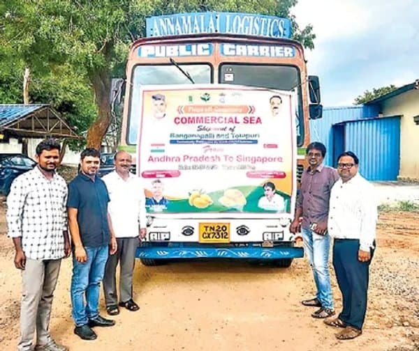 సింగపూర్‌కు కుప్పం మామిడి ఎగుమతి