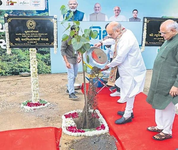 మొక్కలు నాటి గిన్నిస్ రికార్డ్