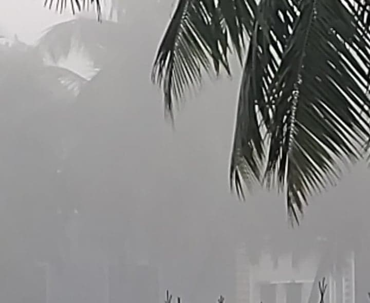 ఉమ్మడి అల్లూరి జిల్లాలో దట్టమైన పొగమంచు - Udayam