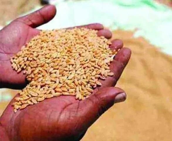 గోధుమల మద్దతు ధర పెంపునకు కేంద్రం ఆమోదం