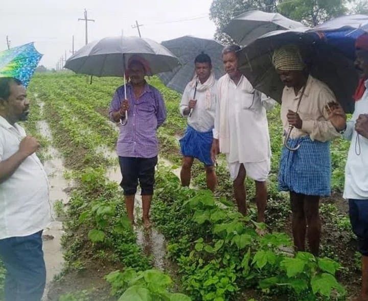 యూరియా కొరతతో రైతుల ఇబ్బందులు