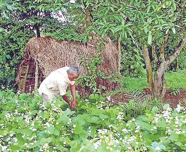 యూరియాపై కొత్త వ్యూహం