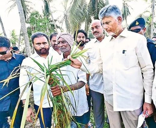 తుఫాను బాధితులకు ప్రభుత్వం అండ: చంద్రబాబు