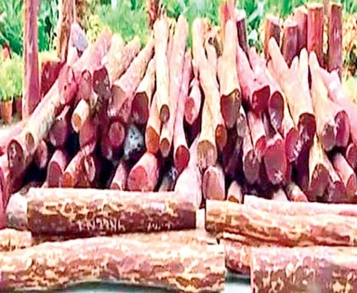 స్మగ్లర్లతో అటవీ అధికారి దోస్తీ: అరెస్టు