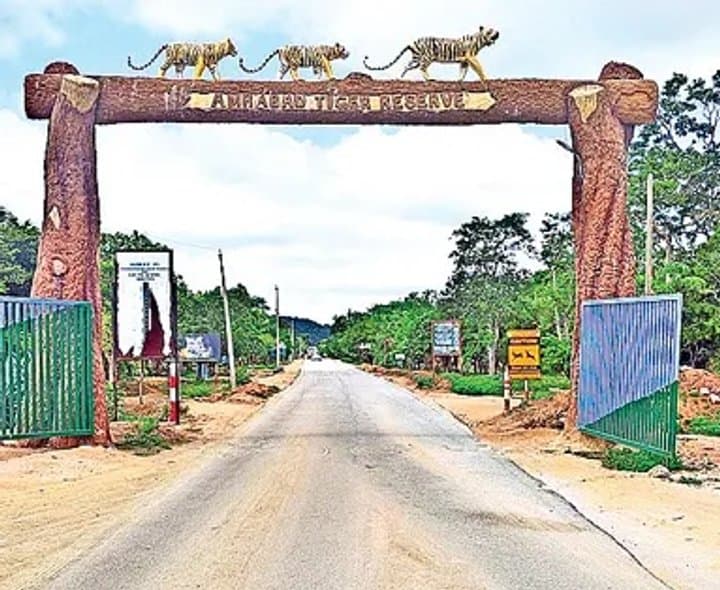 అమ్రాబాద్‌ టైగర్‌ రిజర్వ్‌పై ఎన్టీసీఏ దృష్టి