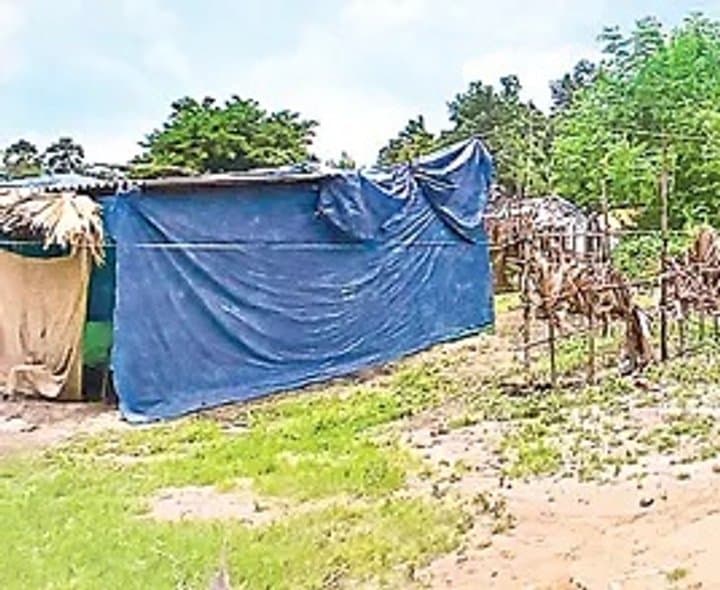 దేవాలయ భూములపై ఆక్రమణల ఆరోపణలు