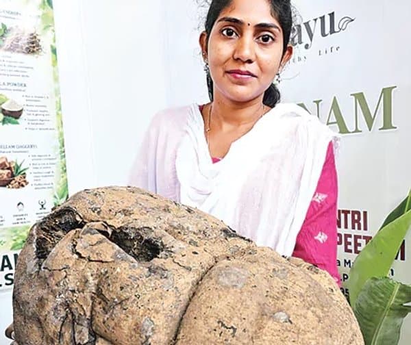 40 కేజీల భారీ నేల గుమ్మడికాయ