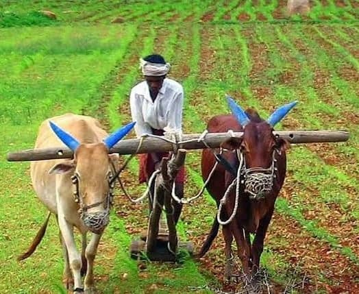 కరువు మండలాల్లో రైతుల రుణాల రీషెడ్యూల్‌కు ఆదేశాలు
