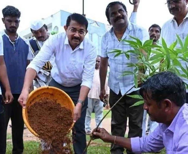 ప్రతి మొక్కను సంరక్షించాలి: కలెక్టర్‌ రాంసుందర్ రెడ్డి