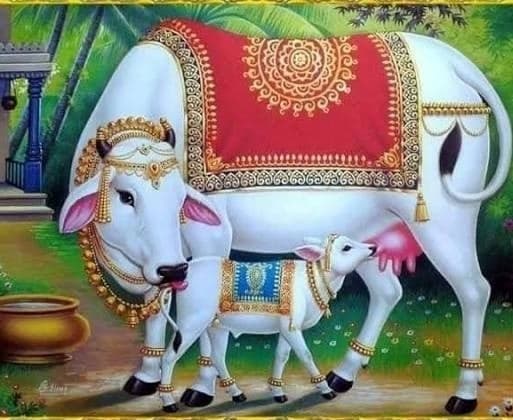గోవధ కేసులో ముగ్గురికి జీవిత ఖైదు 