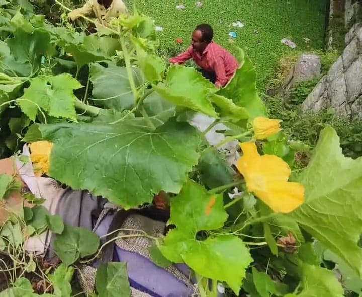 శిథిలావస్థలో కాకతీయుల కాలం నాటి మెట్లబావి
