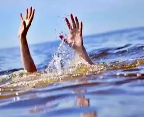 నీటికుంటలో పడి సాఫ్ట్‌వేర్ ఇంజినీర్ మృతి