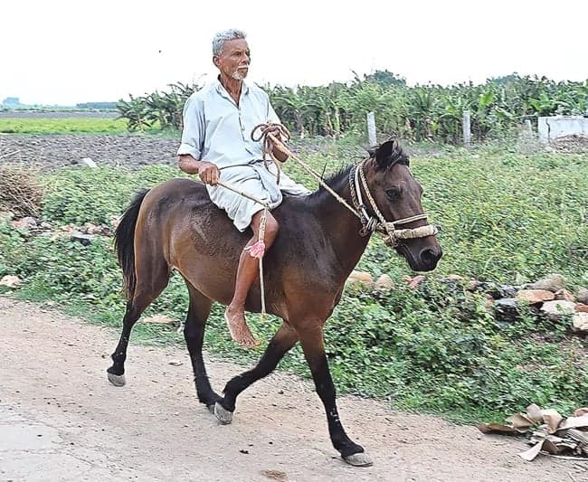గుర్రమే రథం.. రైతు ప్రయాణం - Udayam
