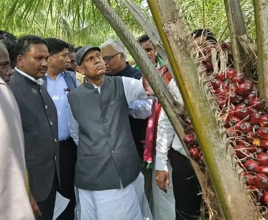 ఉద్యాన పంటలతో లాభాల బాట: రామ్‌నాథ్‌‌ ఠాకూర్