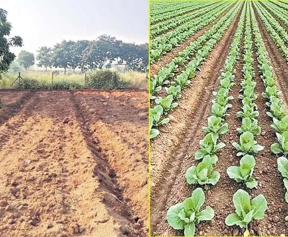 తెలంగాణకు కూరగాయల కొరత ముప్పు