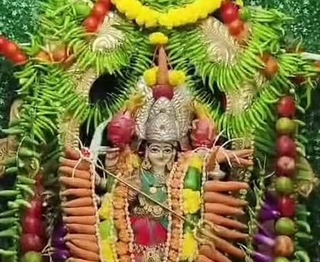 శాకంబరీ దేవిగా అమ్మవారి దర్శనం - Udayam