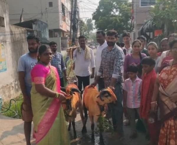 ఆకివీడు పెద్దింట్లమ్మకు భక్తుల మొక్కుబడులు - Udayam