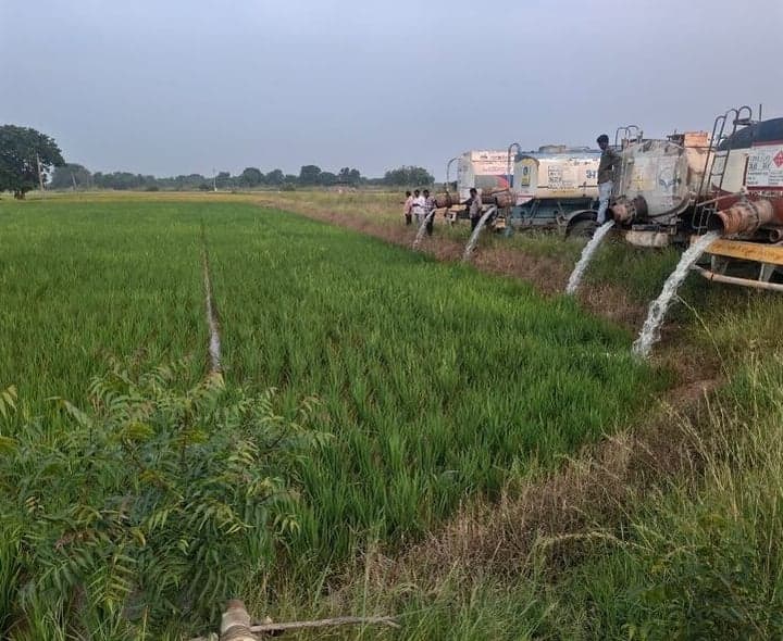 ట్యాంకర్లతో వరి పంటకు నీరు