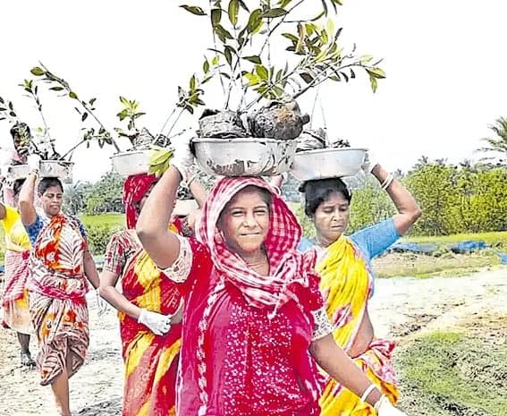 ‘మ్యాంగ్రోవ్‌ ఆర్మీ’ని ప్రశంసించిన మోదీ