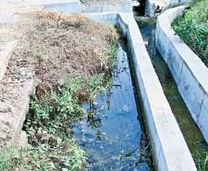 పురపాలికల్లో ‘డ్రైడే’ జాడలేదు