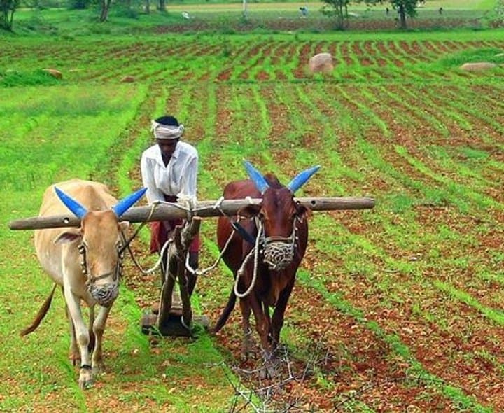 గ్రామీణ డిమాండ్‌పై ఎల్ నినో ప్రభావం