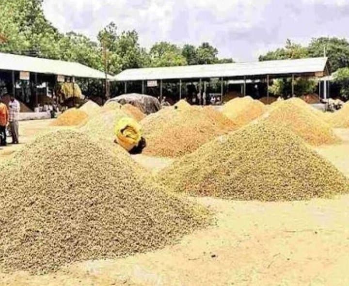 కర్నూల్ మార్కెట్‌లో వేరుశెనగకు మంచి ధర