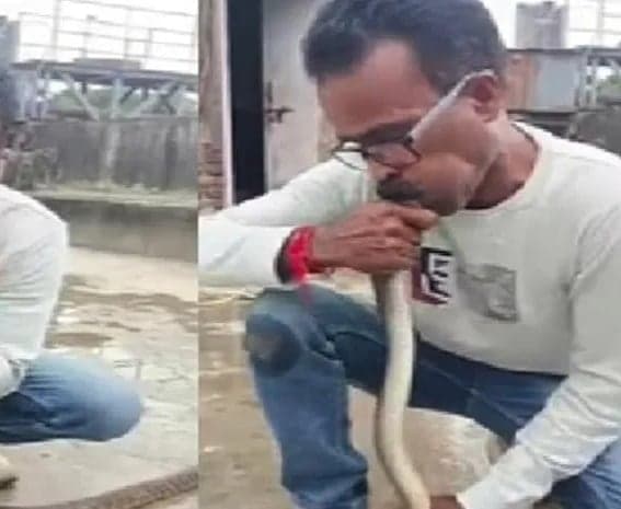 పాముకు సీపీఆర్ చేసిన వ్యక్తి