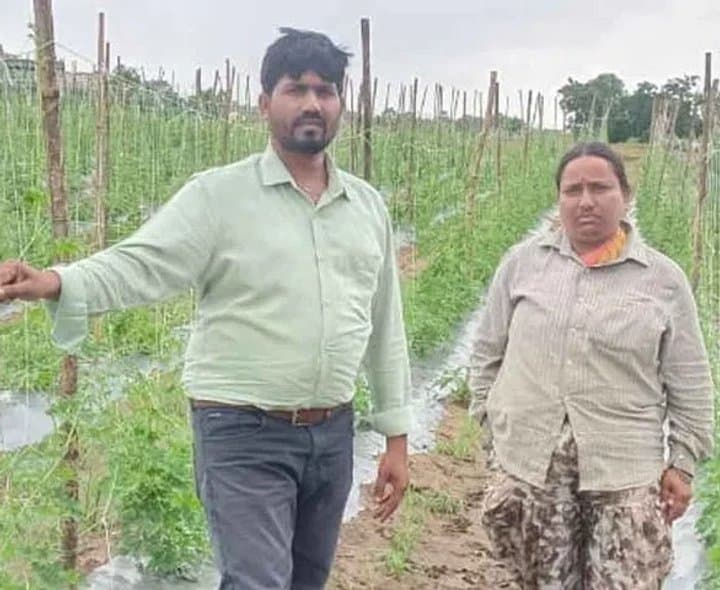కూరగాయలు, పండ్ల సాగుపై దృష్టి పెట్టాలి
