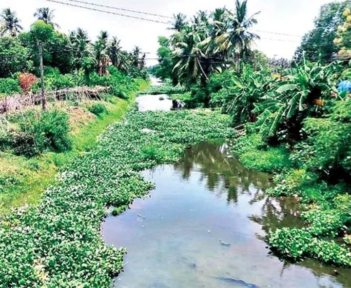 వర్షాభావంతో డెల్టా సాగుకు నీటి ఆందోళన