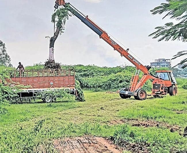 పాతబస్తీ మెట్రో కోసం చెట్ల తొలగింపు